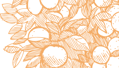 スタッフブログ